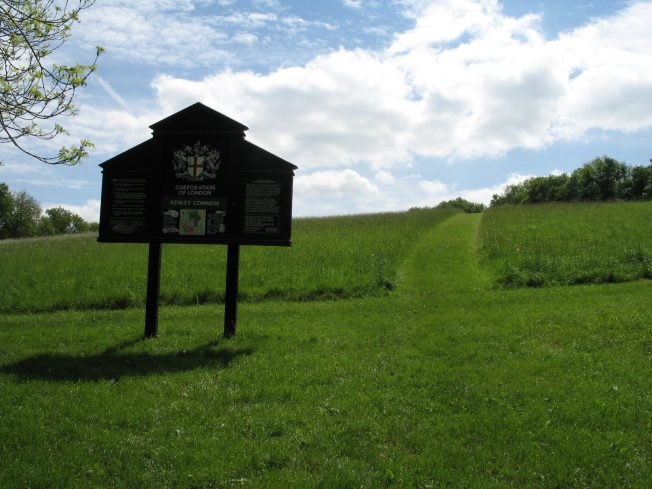 kenley common